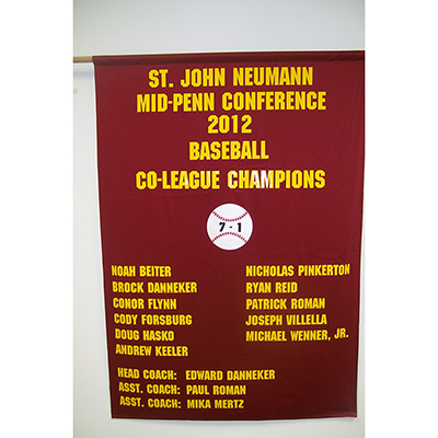 St John Neumann Baseball